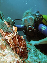 Lion Fish