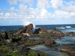 Olivine pools