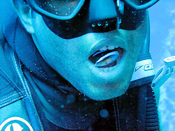 Cleaner Wrasse Toothpaste