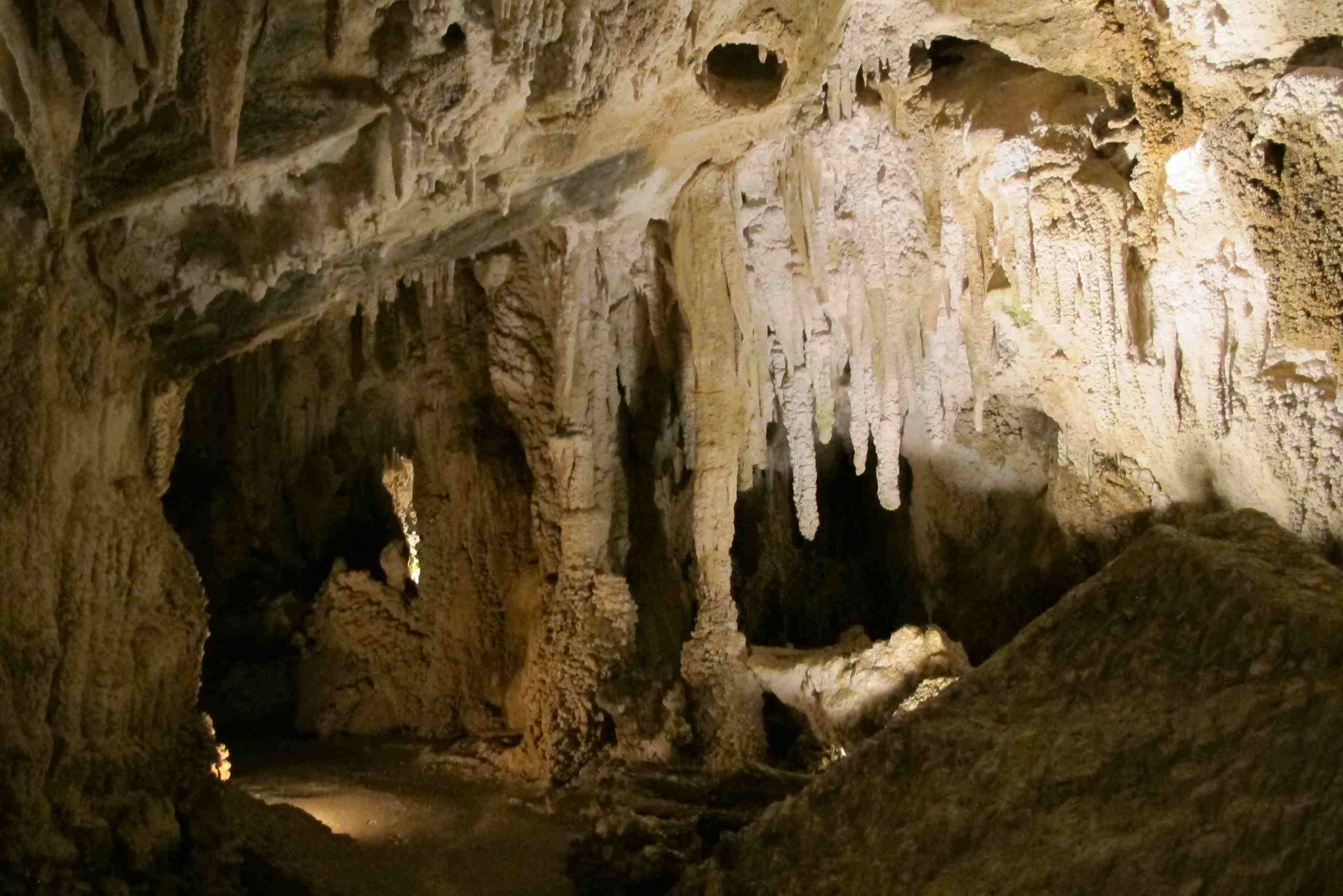Ngarua Cave