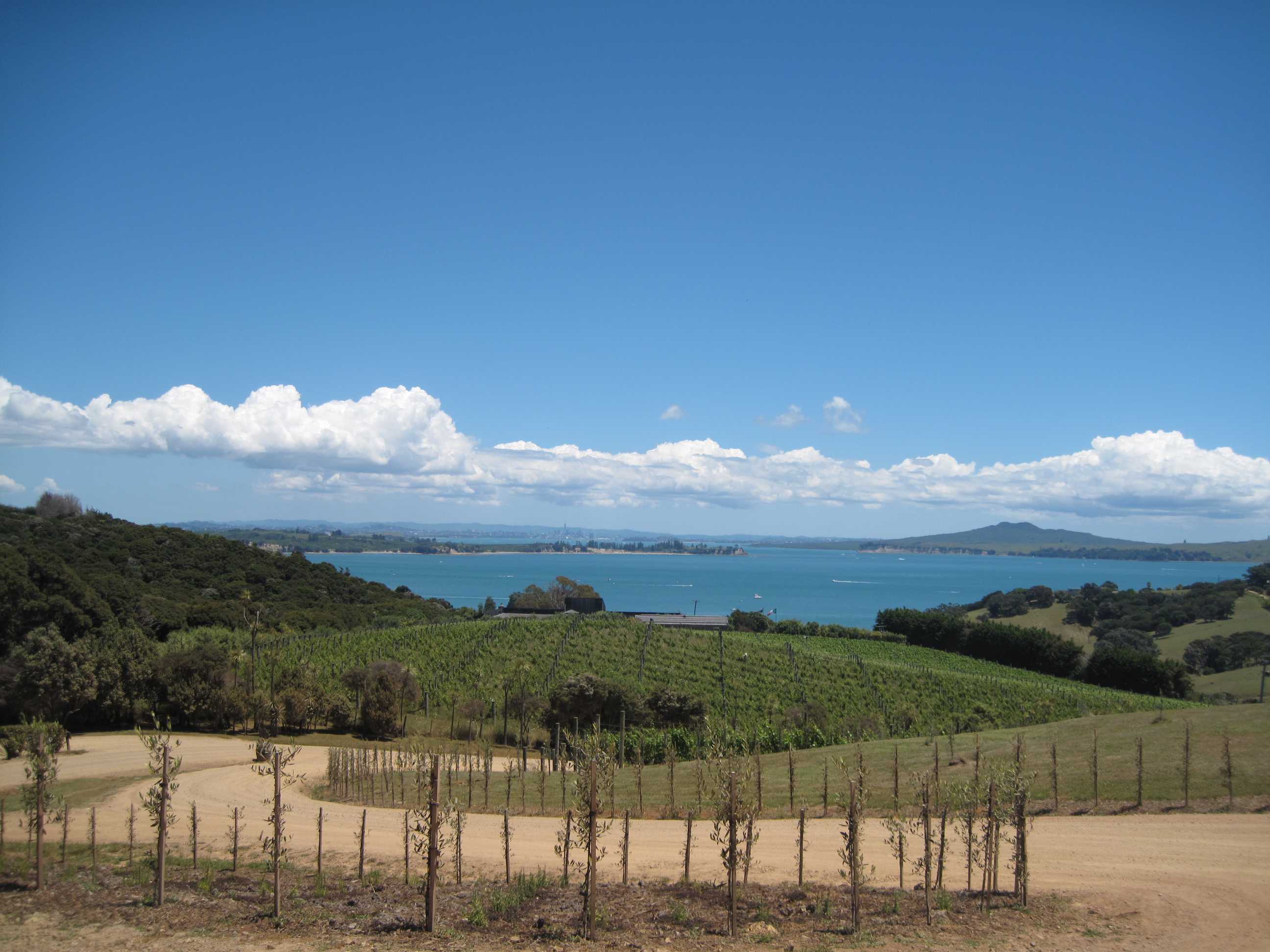 View from Mudbrick