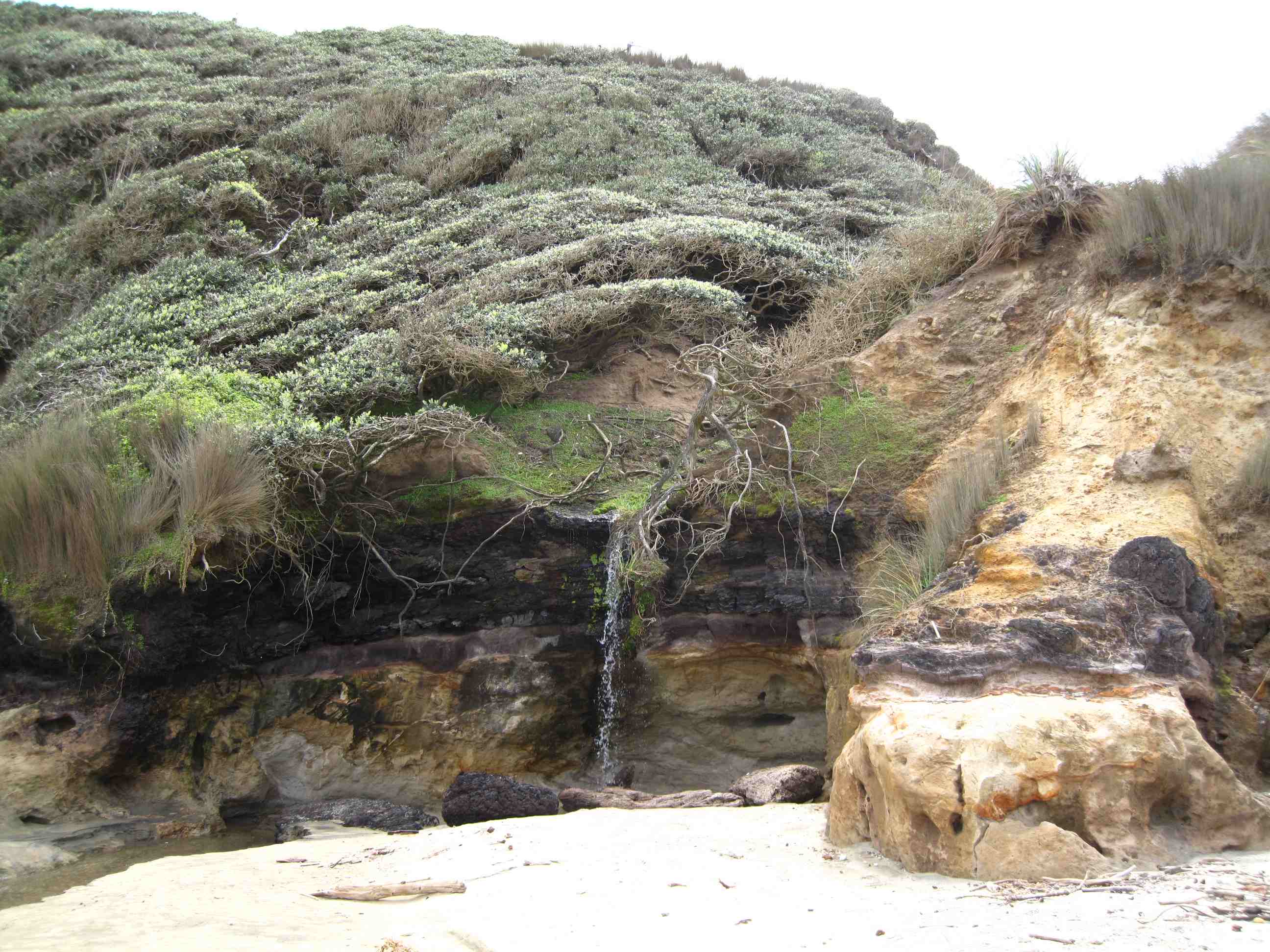 Kai-Iwi Beach Waterfall